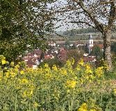 Blick auf Wössingen, Rapsfeld im Vordergrund
