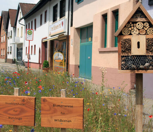 Blumenwiese mit zwei Holzschildern und Insektenhotel neben Straße, im Hindergrund Bushaltestelle und mehrere Häuser