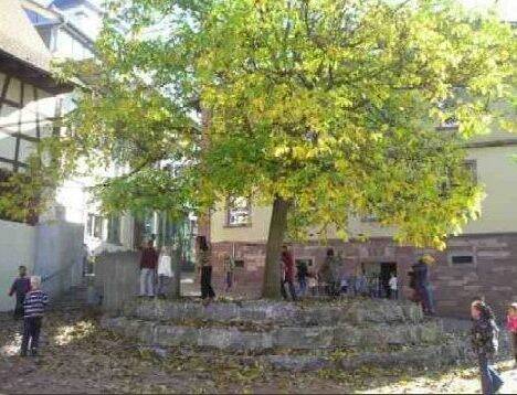 Schulhof mit Baum und Kindern, die im Laub spielen, links alte Scheune in Fachwerk, im Bildhintergrund das alte Schulhaus.