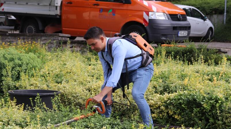 Bürgermeister Özcan beim Heckenschneiden, im Hintergrund steht ein orangefarbenes Bauhoffahrzeug