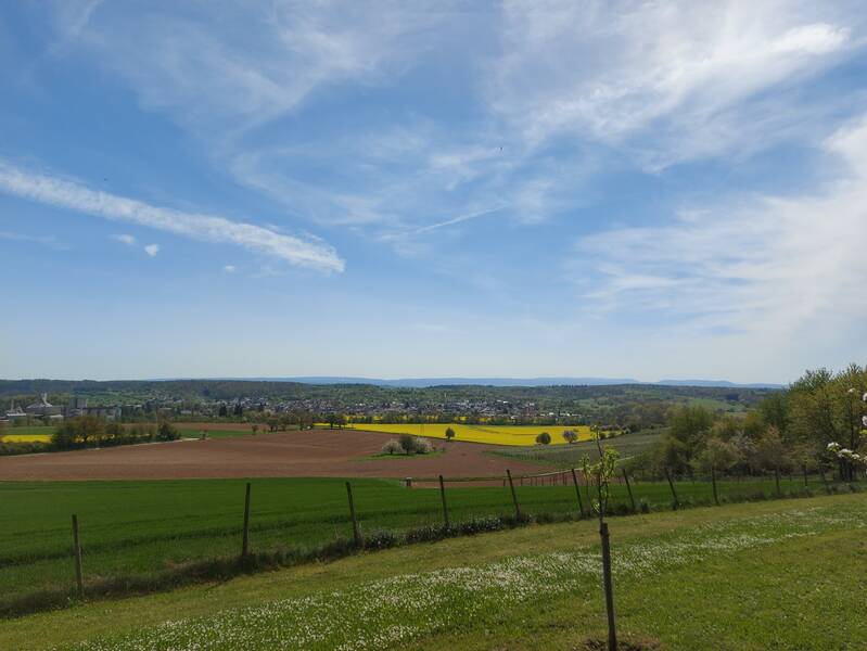 Idyllischer Blick in Richtung Wössingen. Man sieht blauen Himmel mit leichter Bewölkung und Felder im Blütenstand.