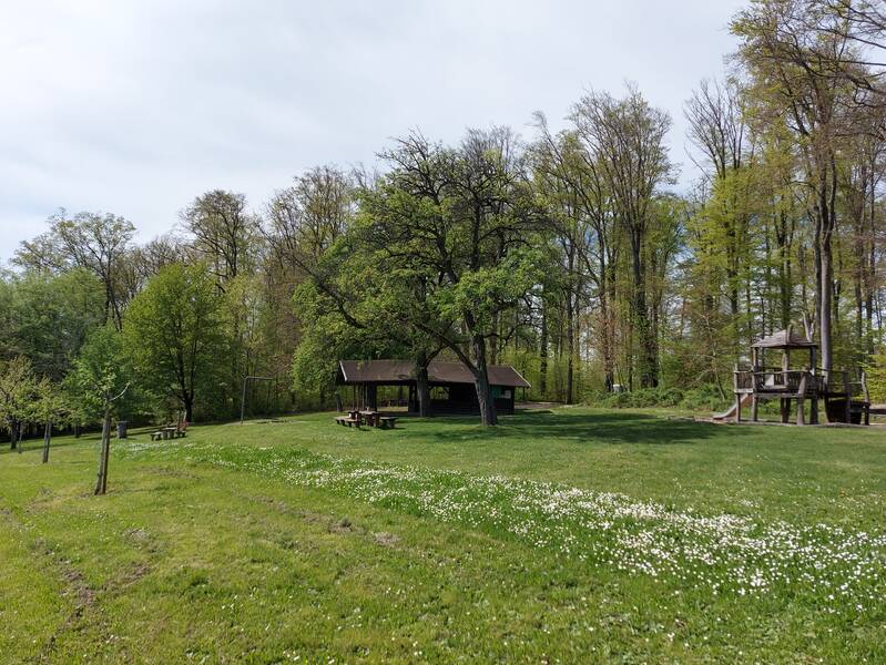 Blick auf Holzhütte und Spielmöglichkeit für Kinder. Man sieht des angrenzenden Wald.