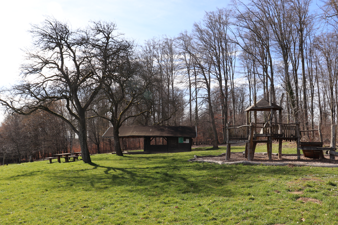 Grüne Wiese mit kahlen Bäumen und einer Hütte aus Holz. Im Vordergrund ist ein Spielplatz aus Holz zu sehen.