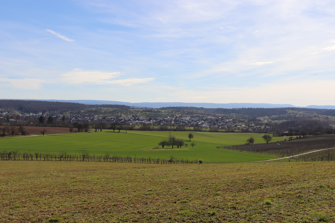 Aussicht auf eine grüne Wiese und viele Häuser aus dem Ort Walzbachtal, bedeckt von einem strahlend blauem Himmel