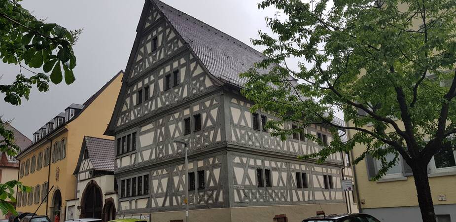 altes Fachwerkgebäude und ein grüner Baum im Vordergrund 