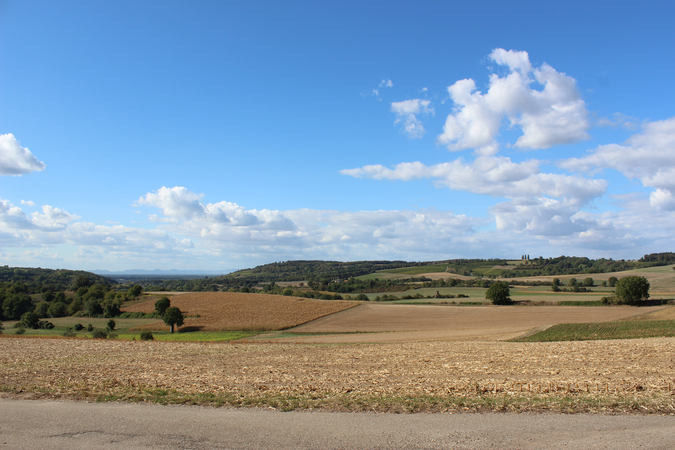 Bild auf Felder und Wiesen. Oben blauer HImmel mit Wolken