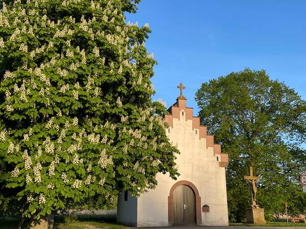 Maria-Hilf-Kapelle, rechts daneben ein Kreuz, außenherum Bäume