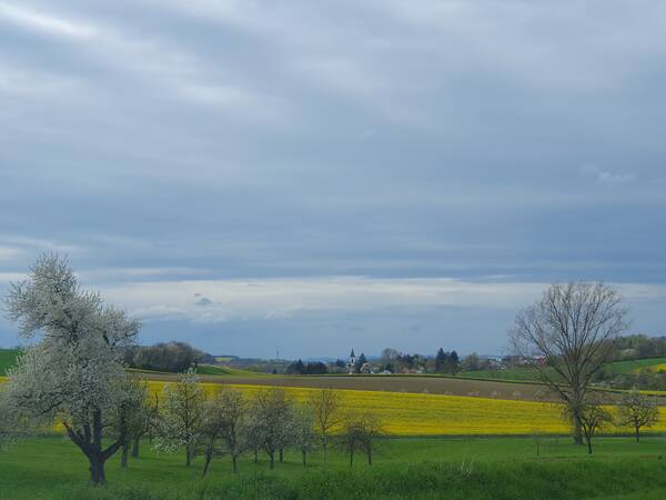 Blick auf Wiesen und Felder. Kirchturm von Wössingen im Hintergrund