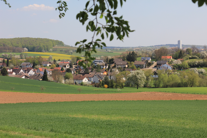 Ortsansicht von Jöhlingen, davor Wiesen und Felder. 