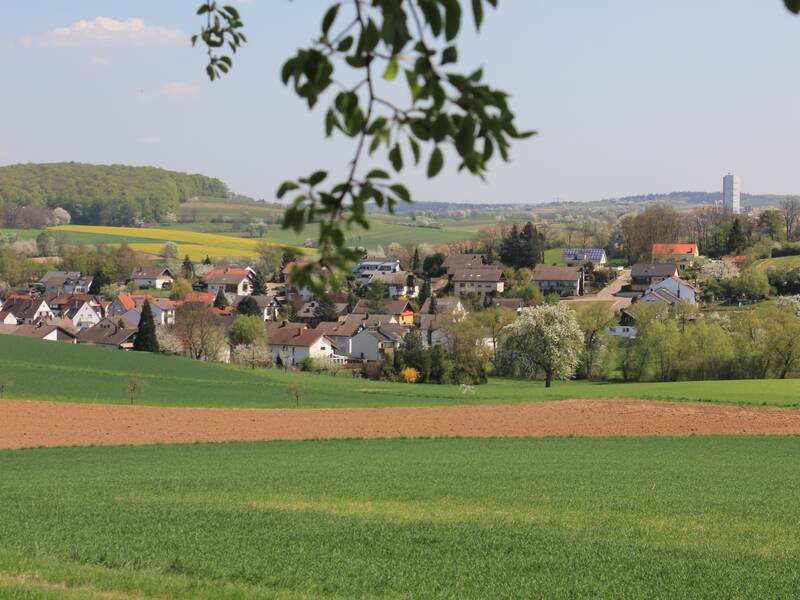Ortsansicht von Jöhlingen, davor Wiesen und Felder. 