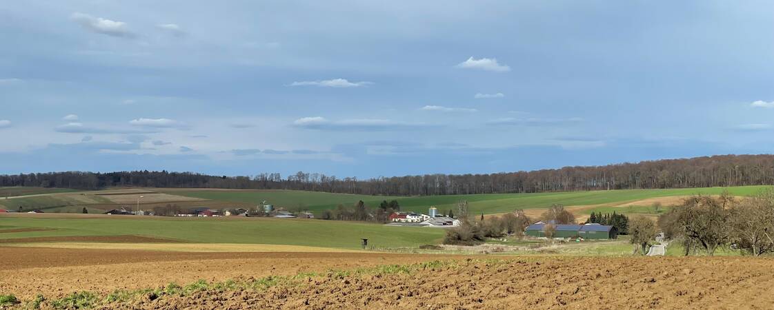 Blick von einem Feld aus auf Binsheim, Unten Häuser oben blauer Himmel