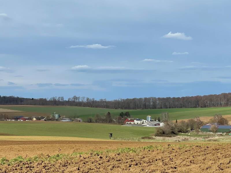 Blick von einem Feld aus auf Binsheim, Unten Häuser oben blauer Himmel