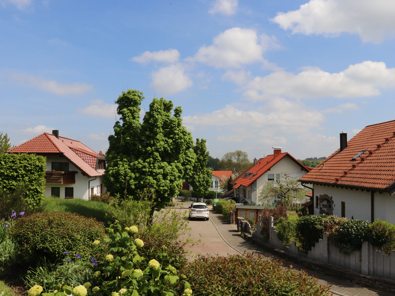 Blick durch Sträucher auf eine Straße, rechts und links Häuser und vorne ein weißes Auto